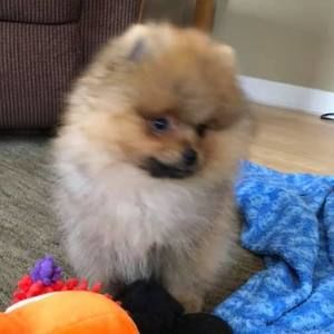 Meet your Posher, Sally